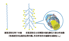 植物乳酸菌發(fā)酵米—SR(圖3)