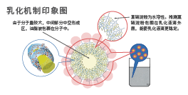 植物乳酸菌發(fā)酵米—SR(圖4)