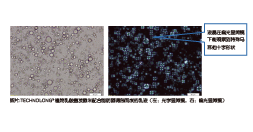 植物乳酸菌發(fā)酵米—SR(圖5)
