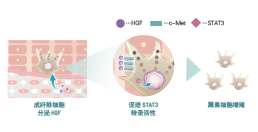 倍麗蘇??F-QS(圖1)
