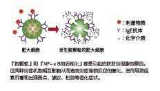 倍麗蘇??F-QS(圖2)