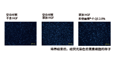 倍麗蘇??F-QS(圖3)