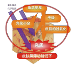 有機(jī)薏苡仁發(fā)酵液 (圖1)