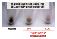 有機(jī)薏苡仁發(fā)酵液 (圖2)