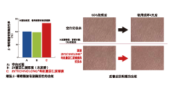 有機(jī)薏苡仁發(fā)酵液 (圖4)