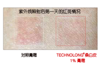 桑白皮(圖6)